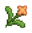 Clivia icon