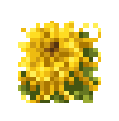 Goldenrod icon
