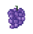 Grape icon