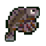 Stonefish icon